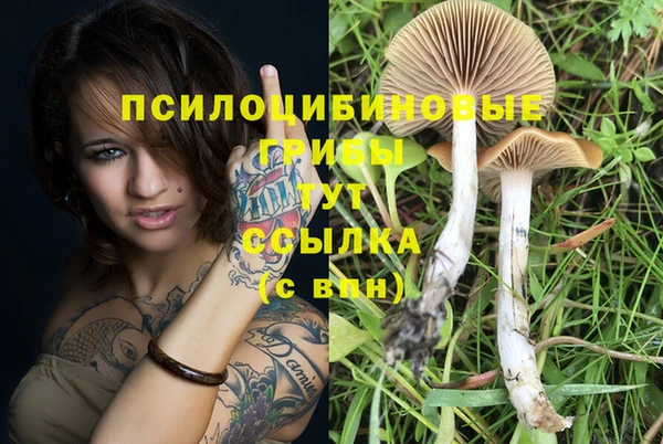 гашиш Козельск