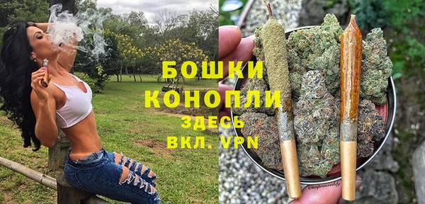 бошки Нягань