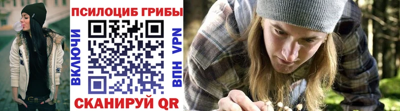 как найти закладки  MEGA   Псилоцибиновые грибы Cubensis  Печоры 